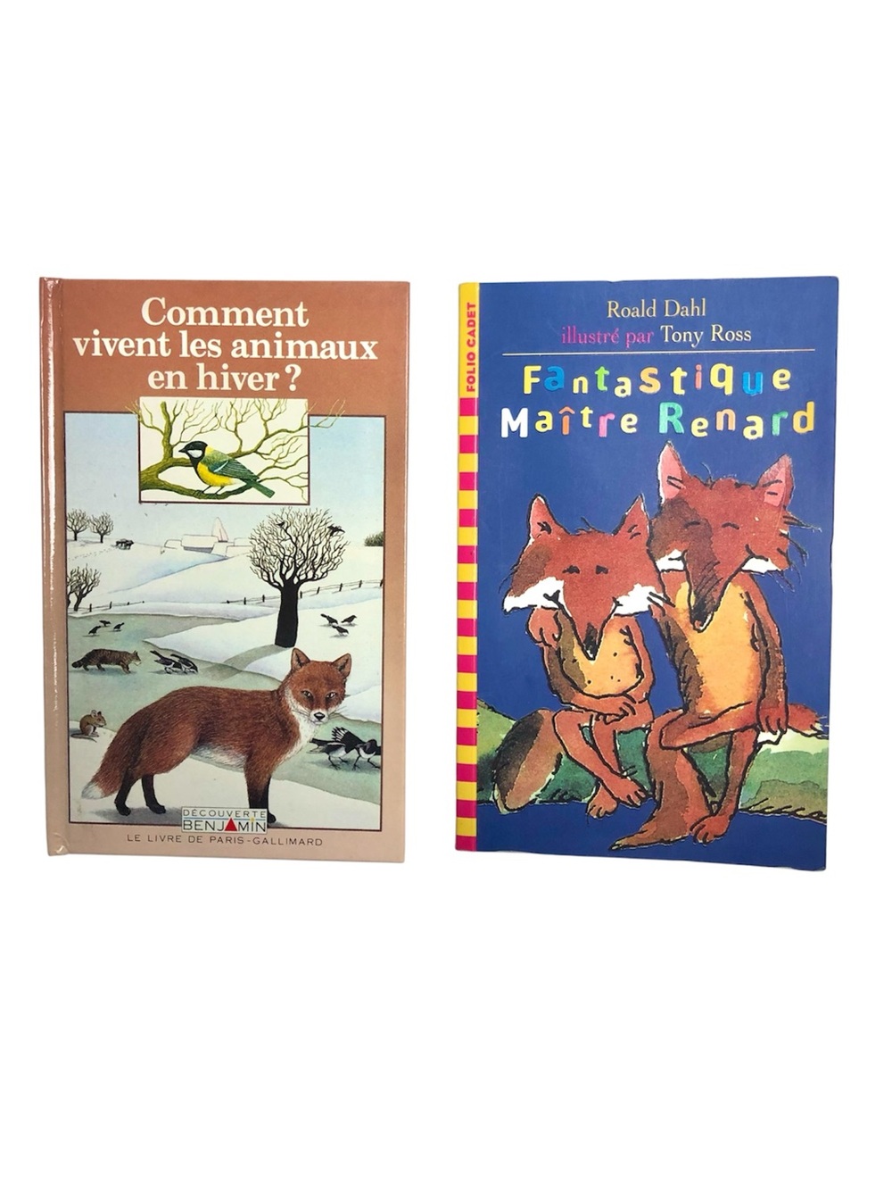 Livres vintage Enfants Animaux Hiver Fantastique Maître Renard Roald Dahl French